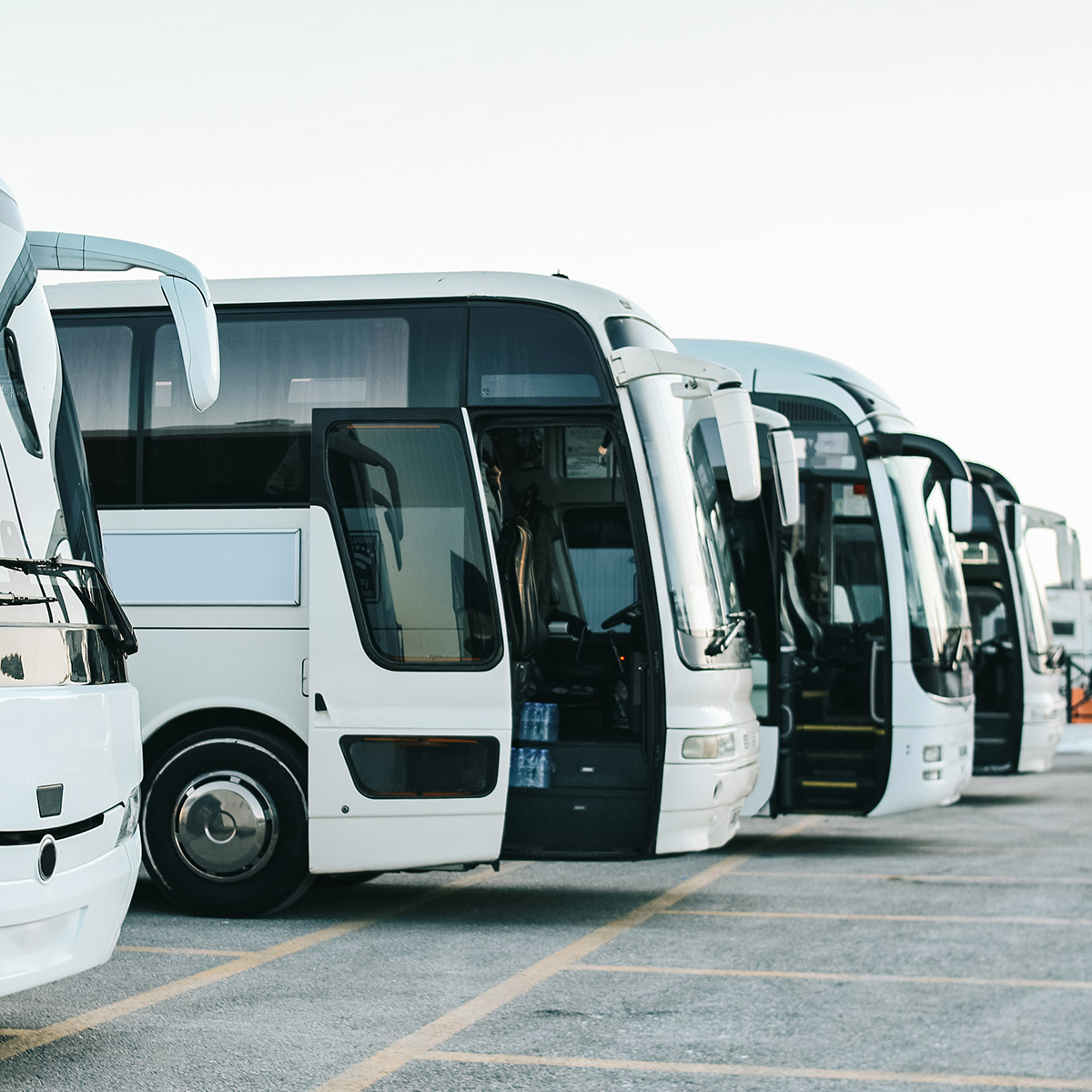 bus fleet