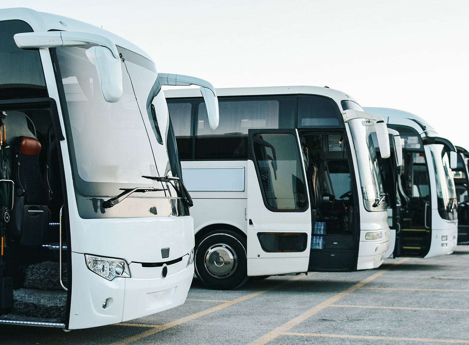 bus fleet